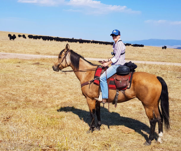 Montana, USA - Globetrotting horse riding holidays