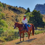 The River Valley Ride, North Island, New Zealand - Globetrotting horse riding holidays