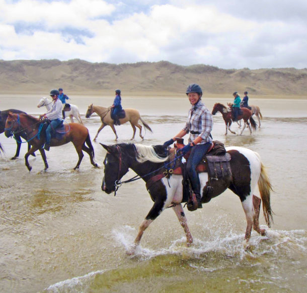 Twin Coast Adventure, North Island, New Zealand - Globetrotting horse riding holidays