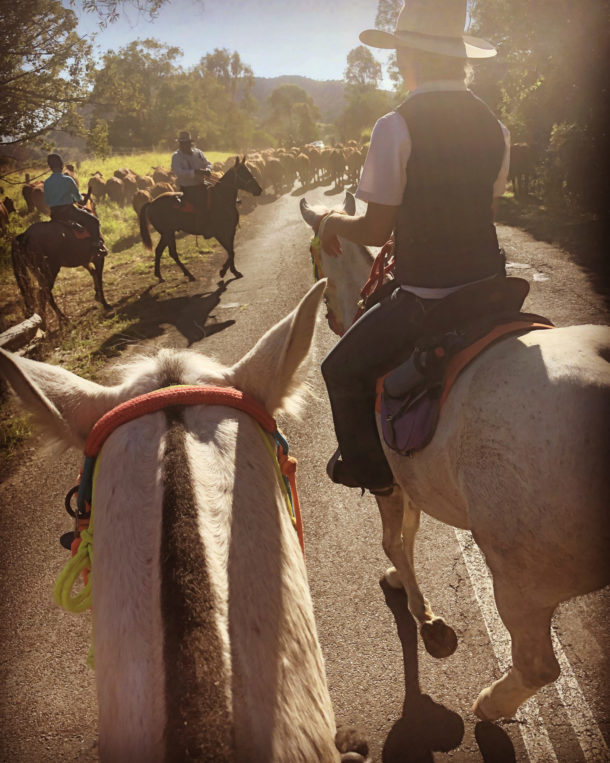 Rainbow Beach, Bush & Cattle Ride, Queensland, Australia - Globetrotting horse riding holidays