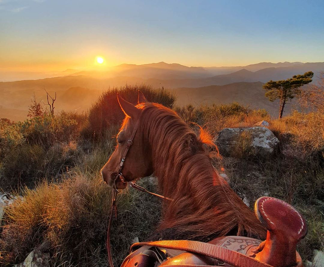 Stay Wild and Free: Selina and Vispo - Globetrotting horse riding holidays - image via @selina_and_vispo