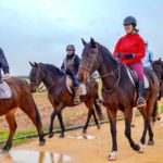 Dressage in Andalusia, Spain - Globetrotting horse riding holidays