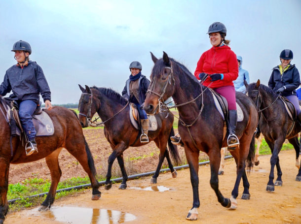 Dressage in Andalusia, Spain - Globetrotting horse riding holidays