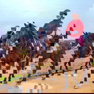 Dressage in Andalusia, Spain - Globetrotting horse riding holidays