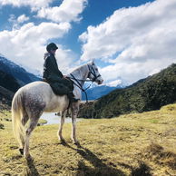 Glenorchy Back Country Ride, South Island, New Zealand - Globetrotting horse riding holidays