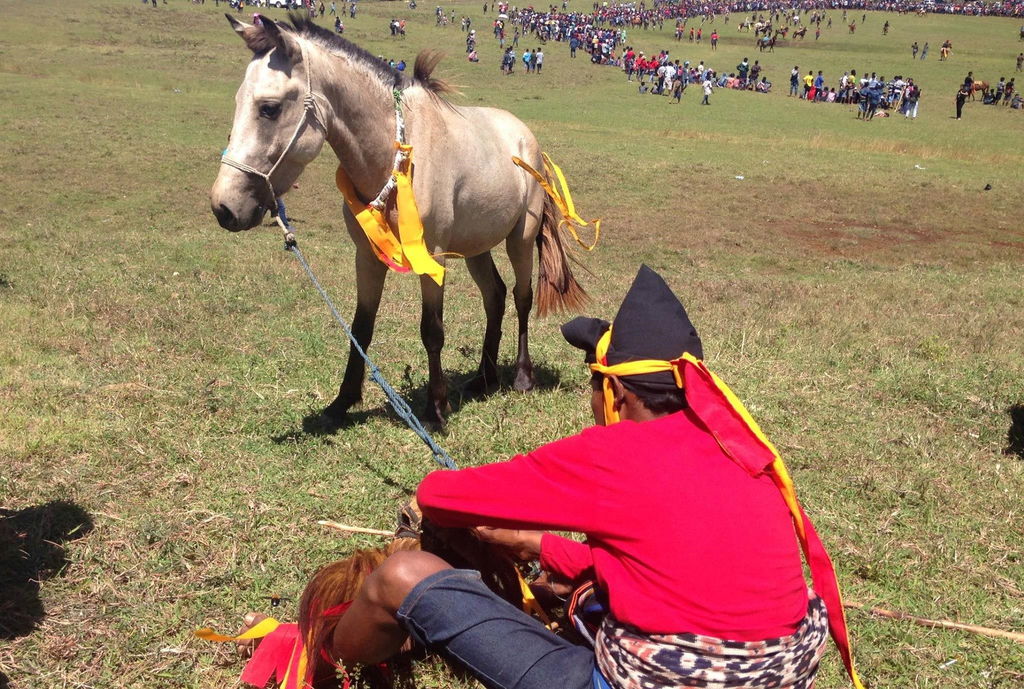 The Sumba Ride, Indonesia - Globetrotting horse riding holidays