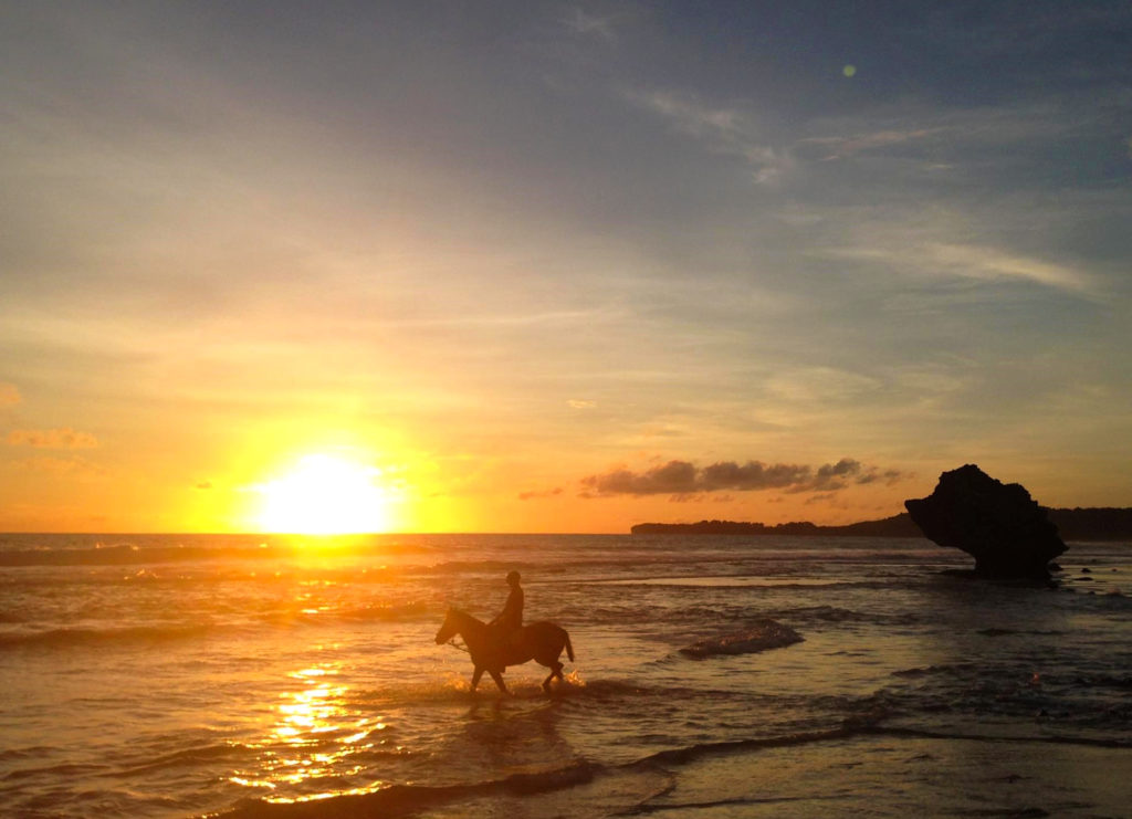 The Sumba Ride, Indonesia - Globetrotting horse riding holidays