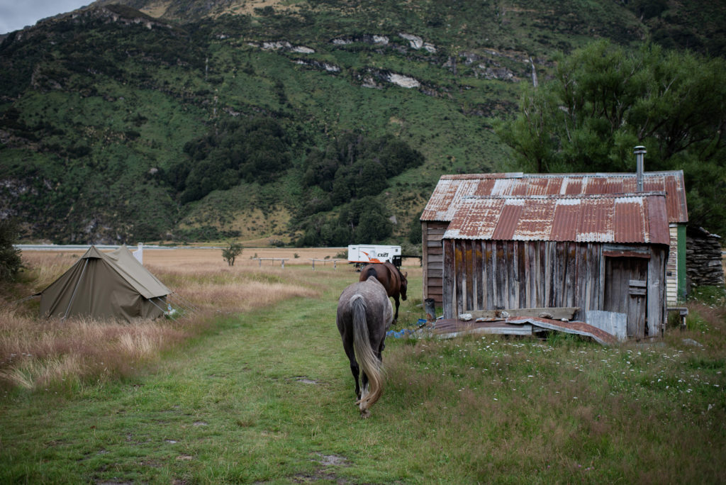 Glenorchy Back Country Ride, South Island, New Zealand - Globetrotting horse riding holidays