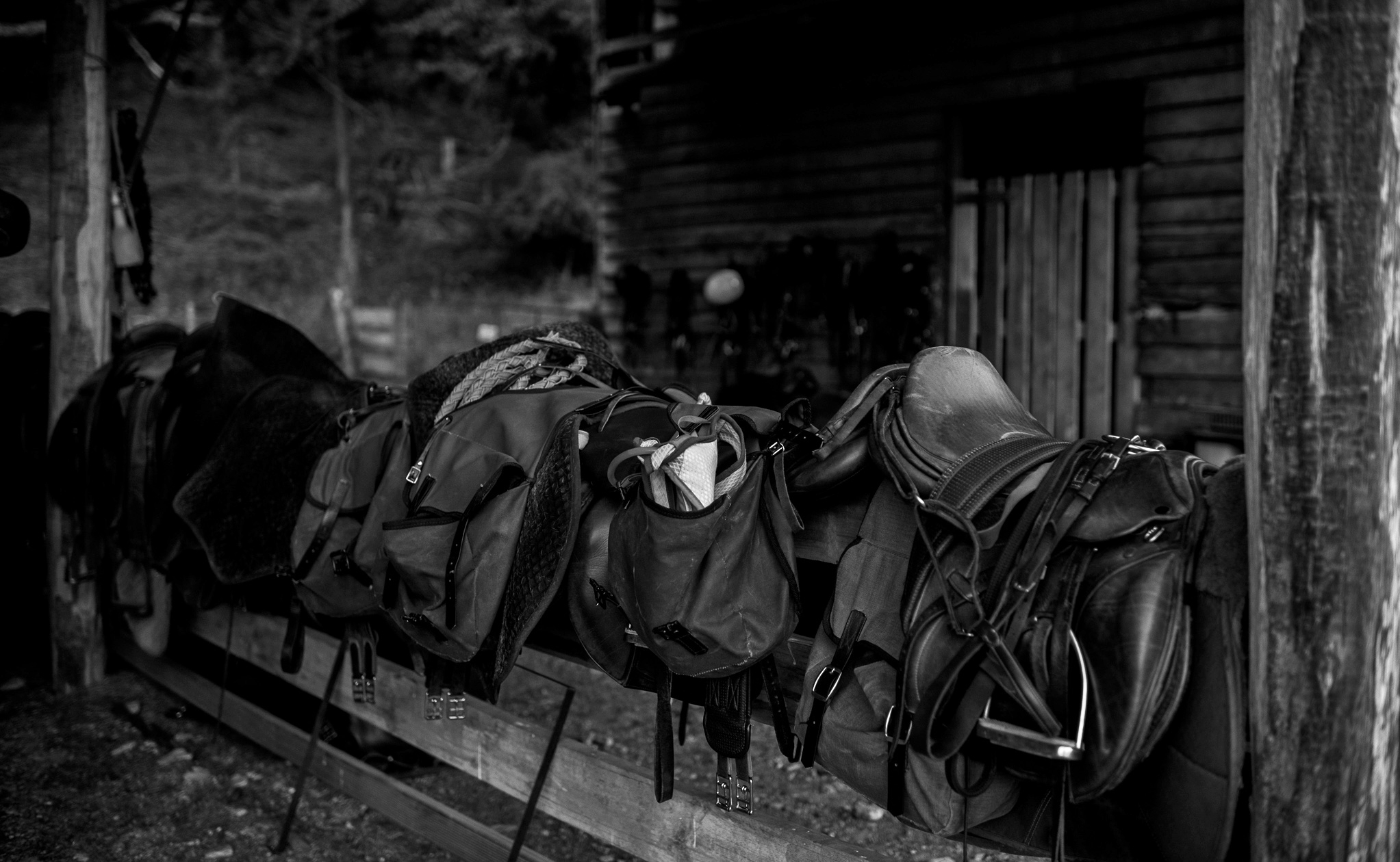 Glenorchy Back Country Ride, South Island, New Zealand - Globetrotting horse riding holidays