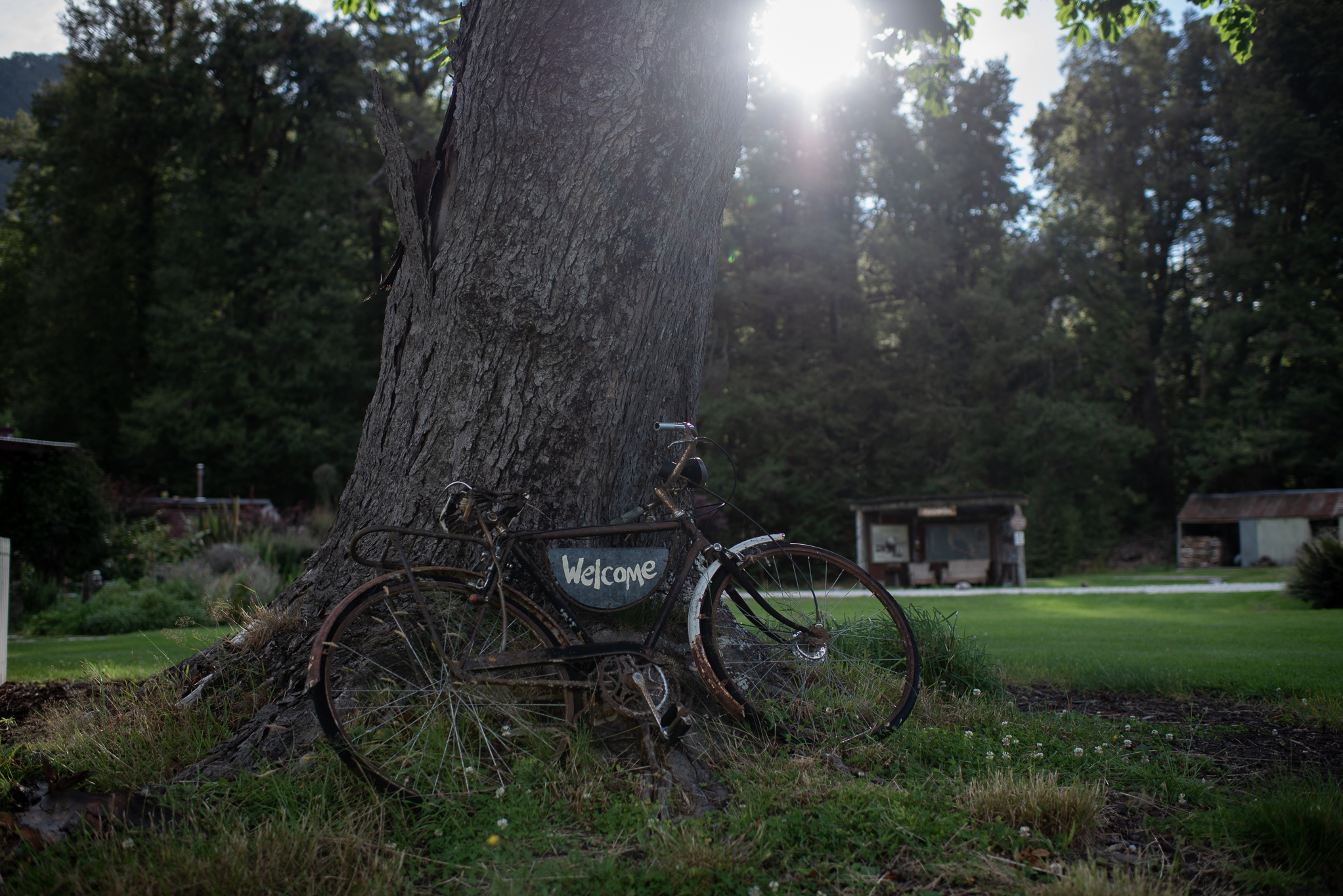 Glenorchy Back Country Ride, South Island, New Zealand - Globetrotting horse riding holidays