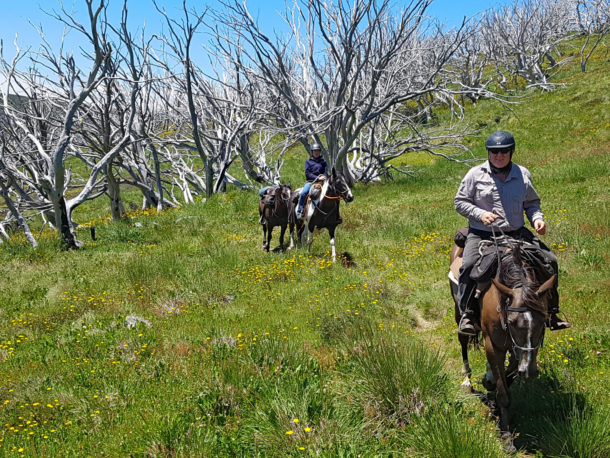 Craig's Hut & High Country Ride, Victoria, Australia - Globetrotting horse riding holidays