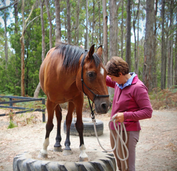 Tassie Tiger Trail, Australia - Globetrotting horse riding holidays