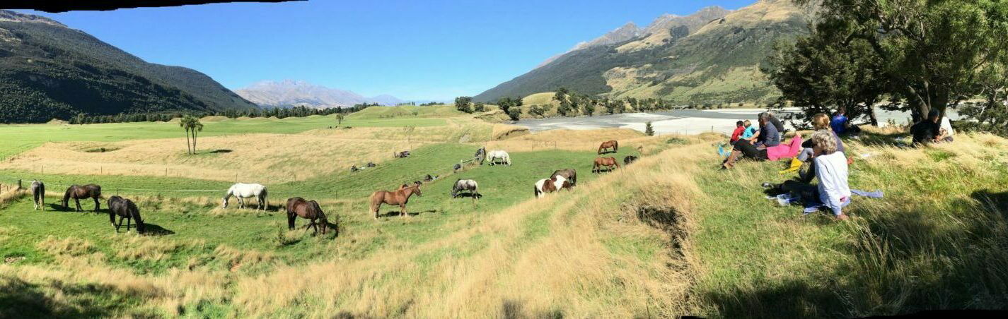 Glenorchy Back Country Ride, South Island, New Zealand - Globetrotting horse riding holidays