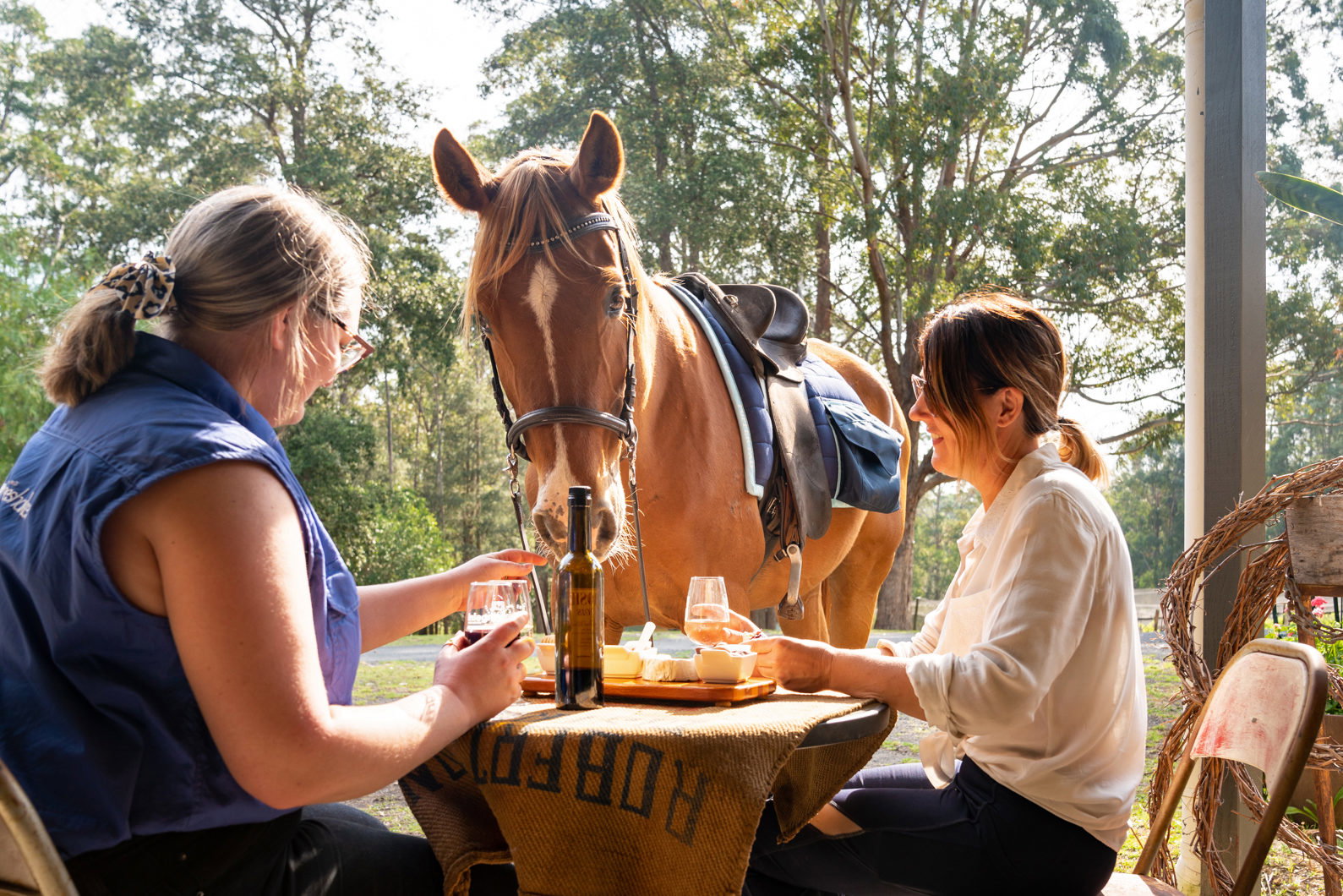Globetrotting Guest Horse: Freddie Bear - The Shoalhaven Ride, New South Wales, Australia - Globetrotting horse riding holidays