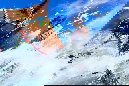 Rainbow Beach, Bush & Cattle Ride, Queensland, Australia - Globetrotting horse riding holidays