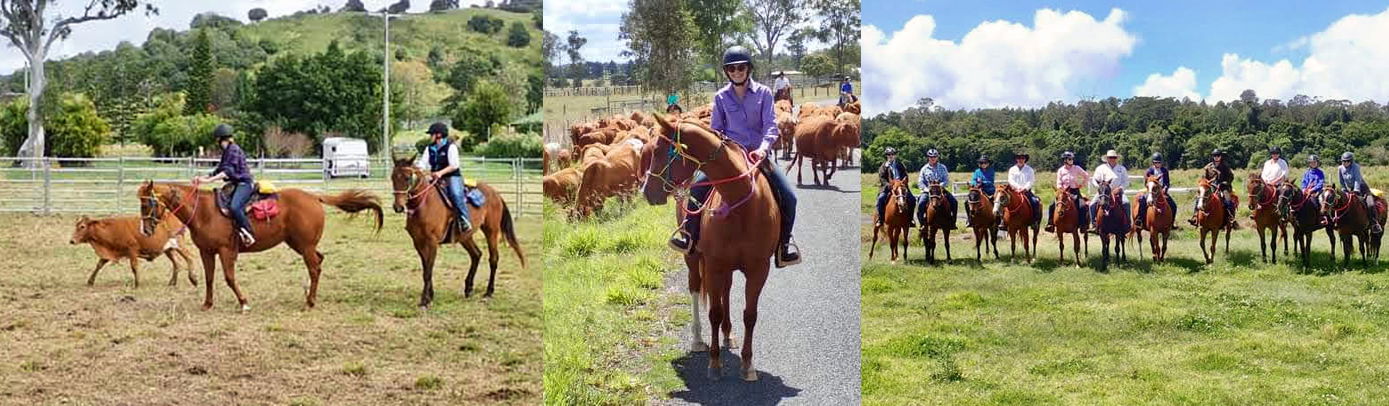 Rainbow Beach, Bush & Cattle Ride, Queensland, Australia - Globetrotting horse riding holidays