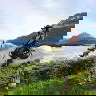 Glenorchy Back Country Ride, South Island, New Zealand - Globetrotting horse riding holidays