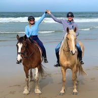 The Shoalhaven Ride, New South Wales, Australia - Globetrotting horse riding holidays