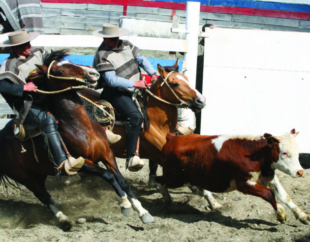 Estancia Ride in Torres del Paine, Chile - Globetrotting horse riding holidays
