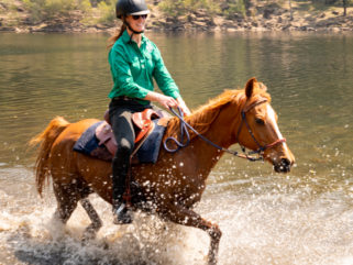 The Shoalhaven Ride, New South Wales, Australia - Globetrotting horse riding holidays
