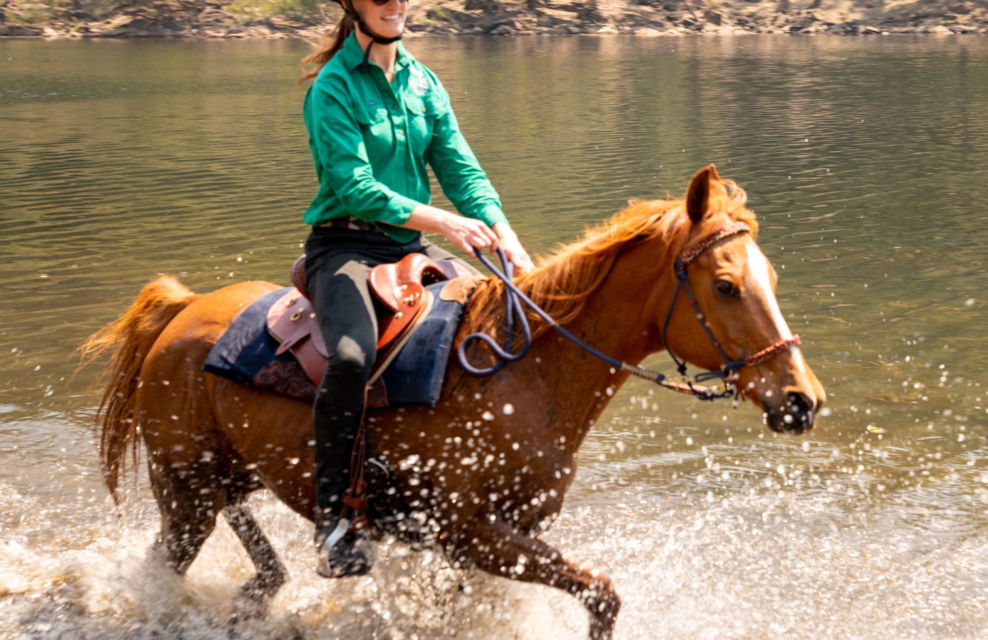 The Shoalhaven Ride, New South Wales, Australia - Globetrotting horse riding holidays