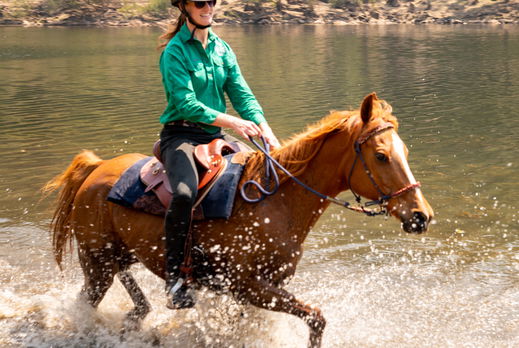 The Shoalhaven Ride, New South Wales, Australia - Globetrotting horse riding holidays