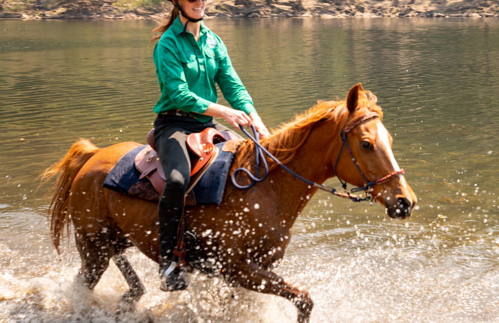 The Shoalhaven Ride, New South Wales, Australia - Globetrotting horse riding holidays