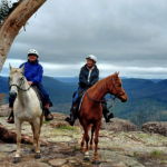 The Shoalhaven Ride, New South Wales, Australia - Globetrotting horse riding holidays