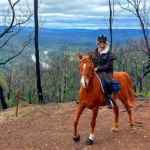 The Shoalhaven Ride, New South Wales, Australia - Globetrotting horse riding holidays