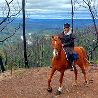 The Shoalhaven Ride, New South Wales, Australia - Globetrotting horse riding holidays
