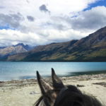 Glenorchy Back Country Ride, South Island, New Zealand - Globetrotting horse riding holidays