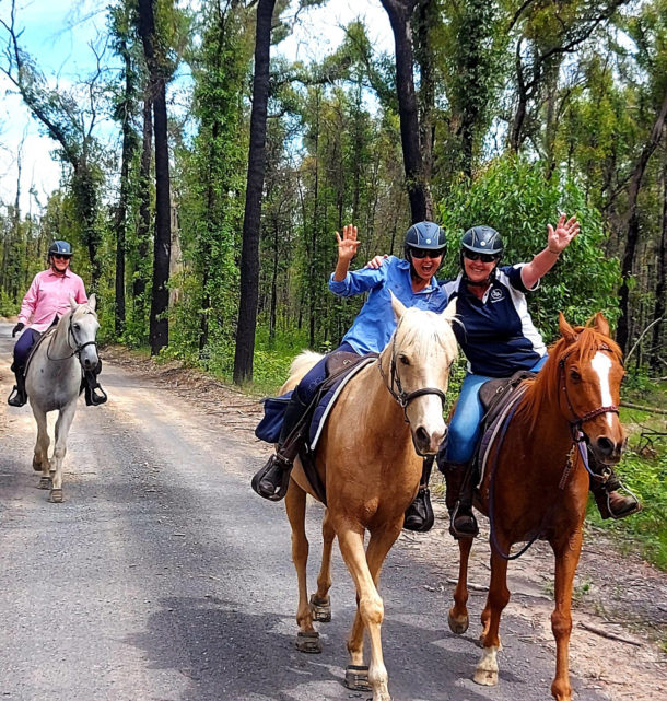 The Shoalhaven Ride, New South Wales, Australia - Globetrotting horse riding holidays