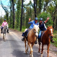 The Shoalhaven Ride, New South Wales, Australia - Globetrotting horse riding holidays