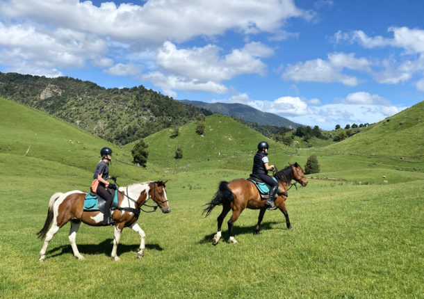 The River Valley Experience, North Island, New Zealand - Globetrotting horse riding holidays