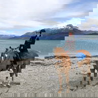 Glenorchy Back Country Ride, South Island, New Zealand - Globetrotting horse riding holidays