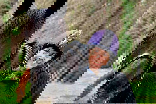 Globetrotting guest horse: Flick - The Shoalhaven Ride, Australia - Globetrotting horse riding holidays