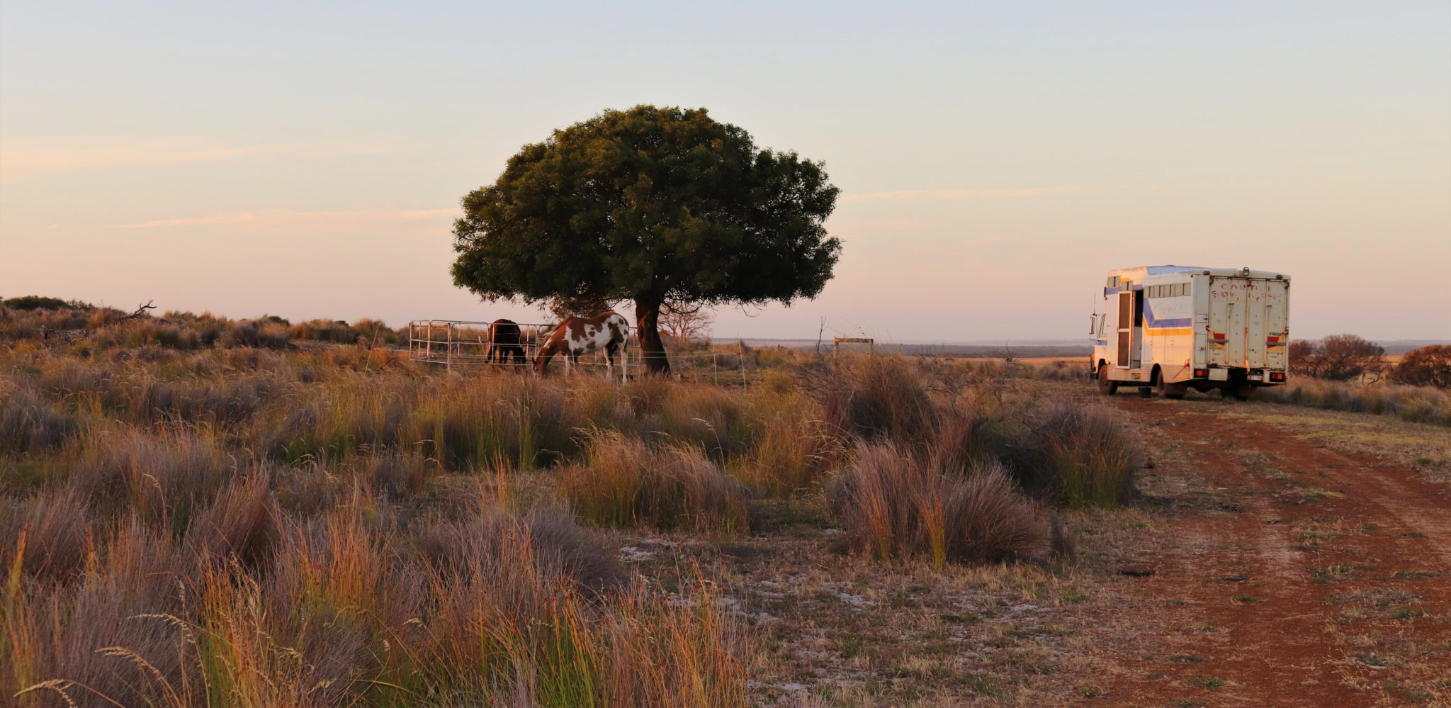 Tales of the Trail: an epic ride around Australia - Globetrotting horse riding holidays