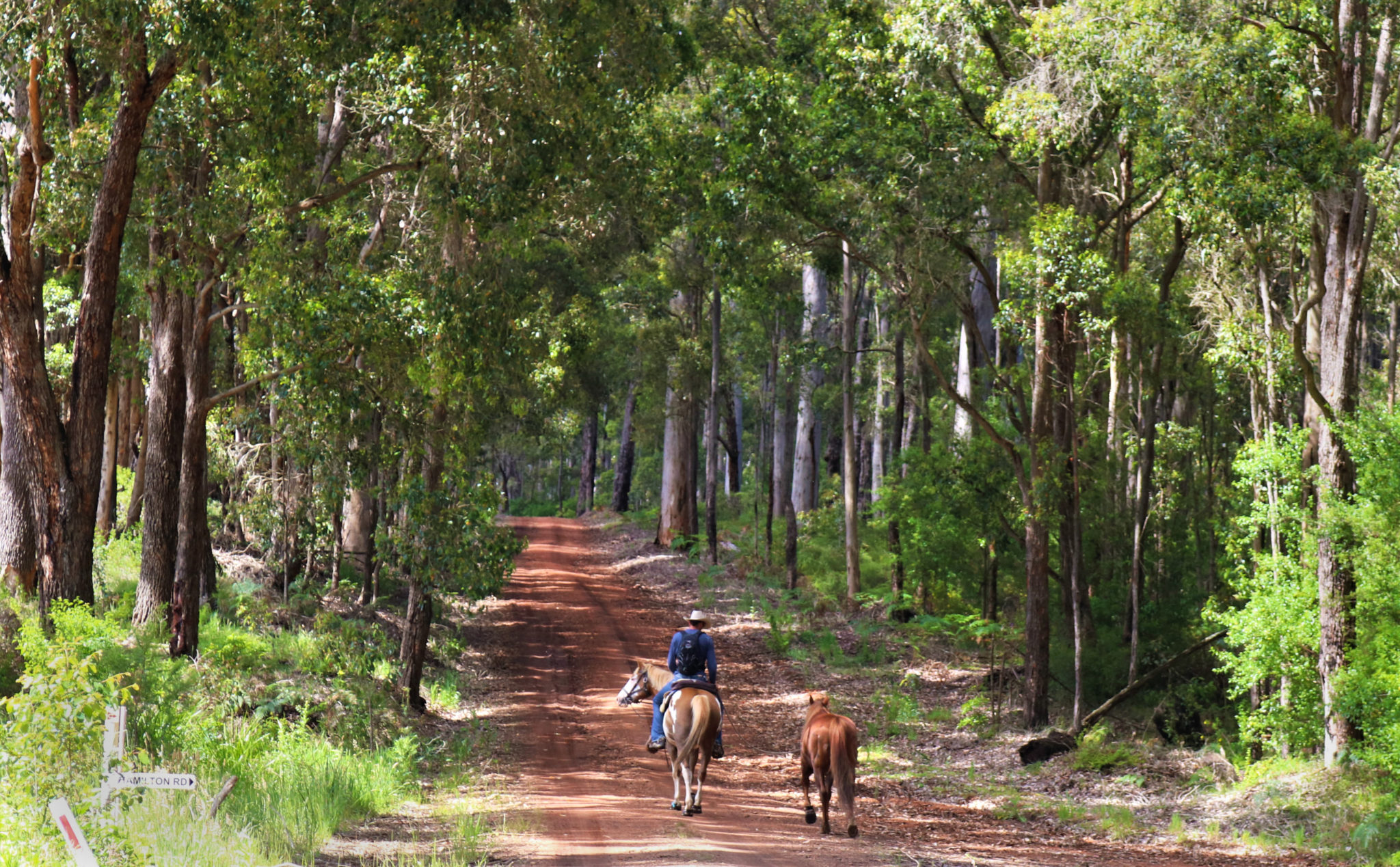 Tales of the Trail: an epic ride around Australia - Globetrotting horse riding holidays