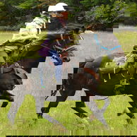 Glenorchy Back Country Ride, South Island, New Zealand - Globetrotting horse riding holidays