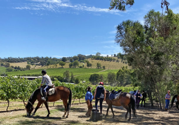 Yarra Valley Ride, Victoria, Australia - Globetrotting horse riding holidays