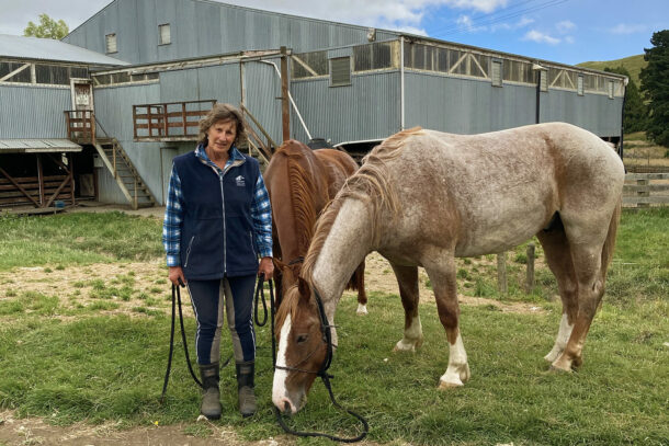 River Valley Ride, North Island, New Zealand - Globetrotting horse riding holidays