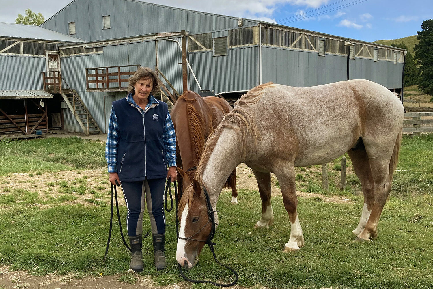 River Valley Ride, North Island, New Zealand - Globetrotting horse riding holidays