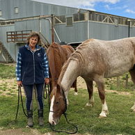 River Valley Ride, North Island, New Zealand - Globetrotting horse riding holidays