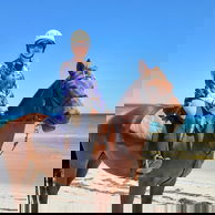 The Margaret River Ride, Western Australia - Globetrotting horse riding holidays