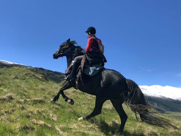 Glenorchy Back Country Ride, South Island, New Zealand - Globetrotting horse riding holidays