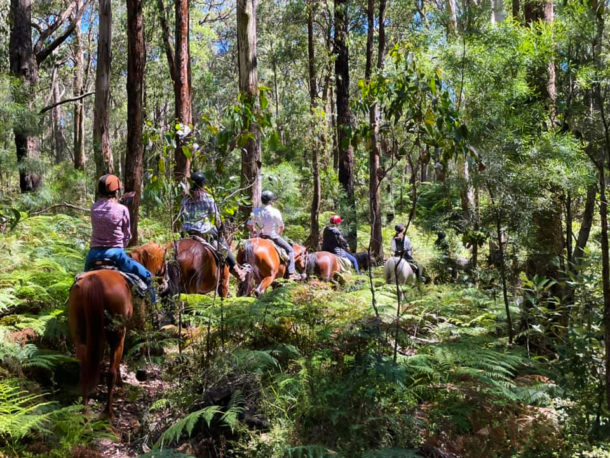 Yarra Valley Ride, Victoria, Australia - Globetrotting horse riding holidays