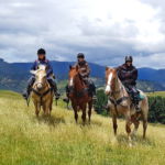The River Valley Ride, North Island, New Zealand - Globetrotting horse riding holidays
