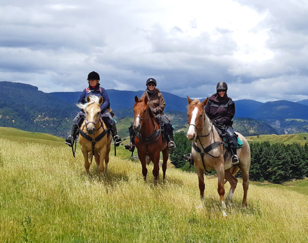 The River Valley Ride, North Island, New Zealand - Globetrotting horse riding holidays