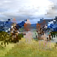 The River Valley Ride, North Island, New Zealand - Globetrotting horse riding holidays