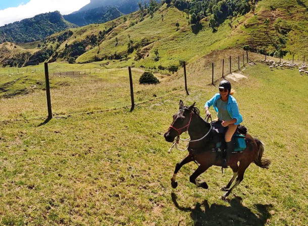 The River Valley Ride, North Island, New Zealand - Globetrotting horse riding holidays